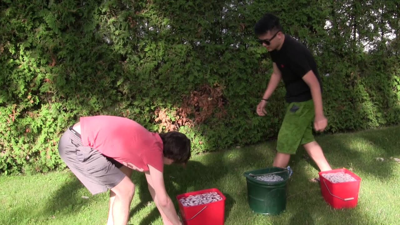 gaming logo AR12 Crew ALS Ice Bucket Challenge