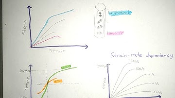 Mechanics of Bones | Biomechanics