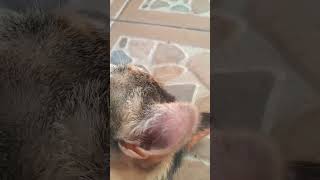 15 De Febrero De 2024