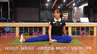 20180628 천장관절장애 골반틀어짐 (트레이닝 방법 : 모빌리티회복 - 스테빌리티회복 편)