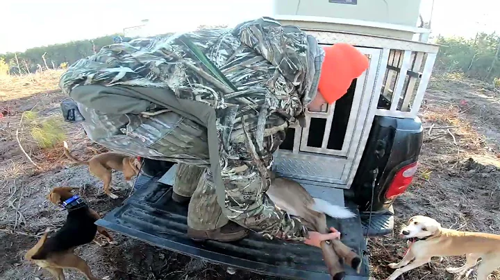 Live Action Big Buck Chase] Two Does Down! [Deer D...