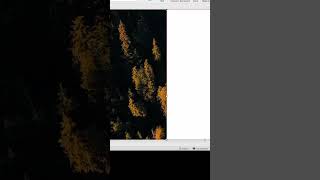 Slide With Video....