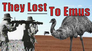 The Great Emu War