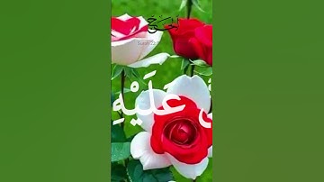 سورة الحج #اكسبلور #القران #duet #القاريء #يارب #دويتو #تيك_توك #لايك #الرحمن #جامعه
