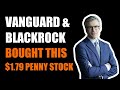 THIS $1.79 PENNY STOCK WILL EXPLODE - Vanguard and BlackRock Bought It