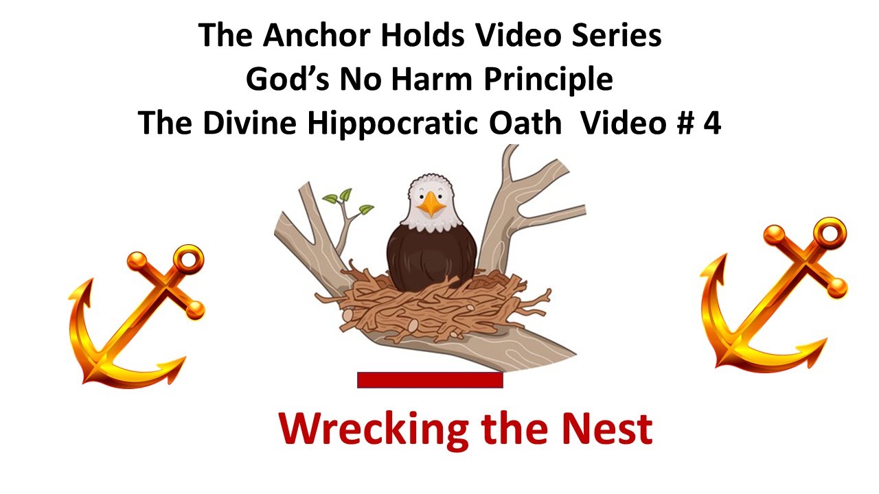 The Anchor Holds EP4 God's No Harm Principle The Divine