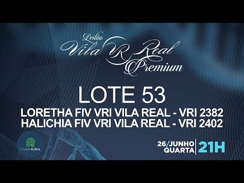 LOTE 53 (VRI 2382/VRI 2402)