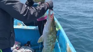 longline fishing grouper fish 95 hooks