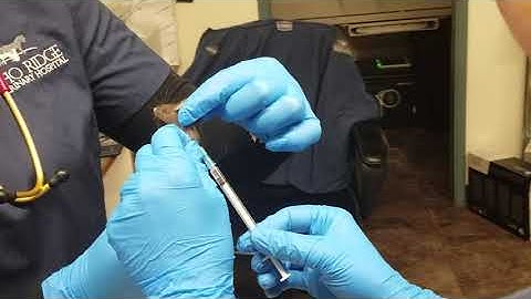 Skill 48 Mouse SQ Injection 22128218 TImmons