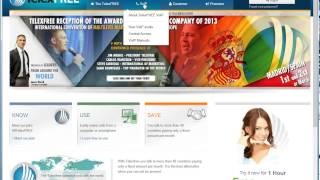 How To Setup Your TelexFree Voip Service screenshot 5