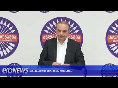 გაერთიანებული ოპოზიციის მორიგი ბრიფინგი 25.01.2019