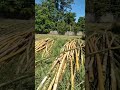 Jambore GBI Sulutgo 2025 - Persiapan bambu