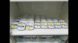 Знакомство с Monge Знакомство с Monge