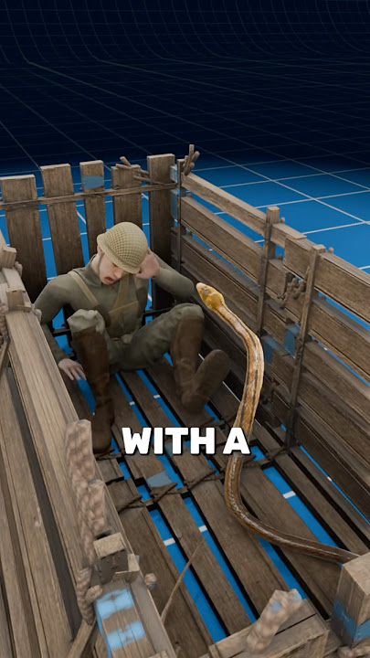 How Box Torture Worked 📦🐍