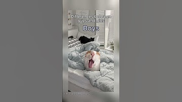 Cat Memes 🌹 Kittens Memes