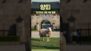 [2025년 3월 9일 양띠 오늘의운세]  무슨 일이든 새로운 기분으로 활기차게 임해야 한다. #양띠 #운세…