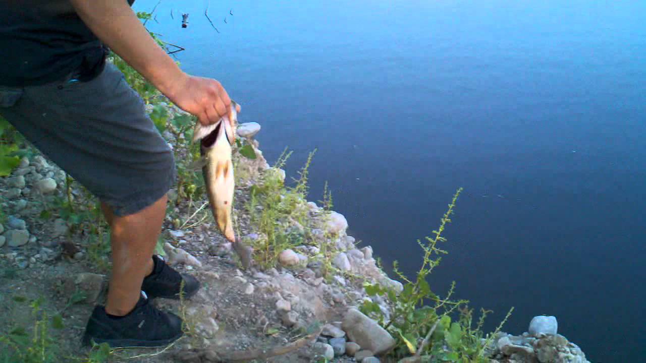 Flipping a worm in submerged trees (Part 2)