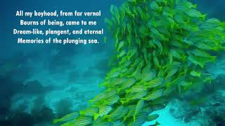 Son Of The Sea By Bliss Carmen