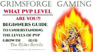 ESO Beginners Guide to understanding the levels of PVP growth. What level are you?!