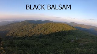 Hiking and camping black balsam knob, NC