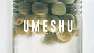 梅酒 Umeshu ｜うめしゅ Plum Wine