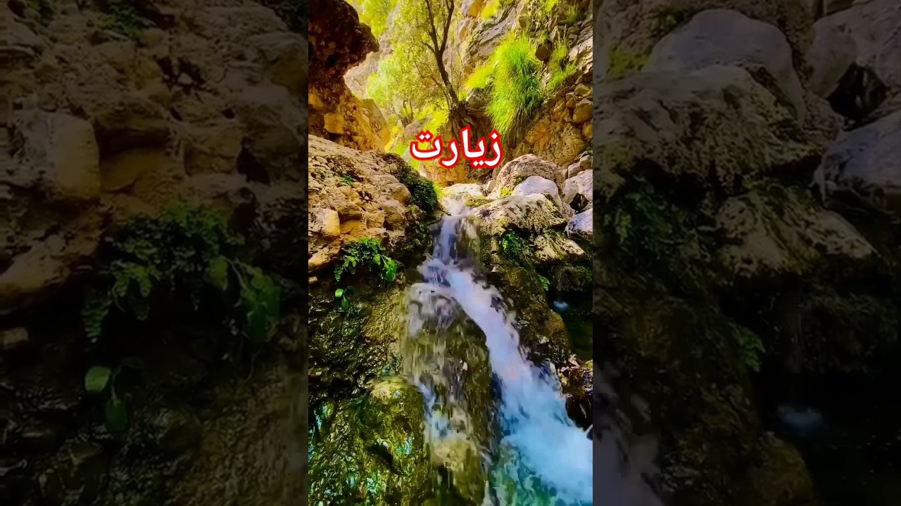 Best Picnic Spot in Ziarat, Balochistan - Ultimate Travel Destination!