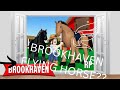 FLYING HORSE ??  ☠️☠️(Brookhaven rp)
