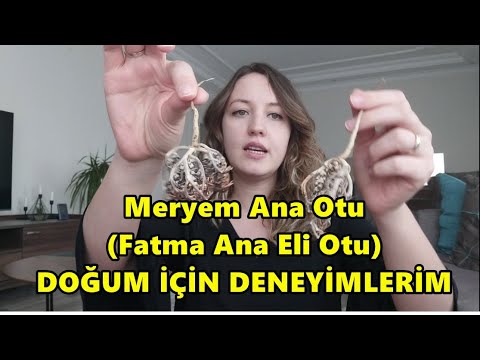 Meryem Ana Otu🌱 (Fatma Ana Eli Otu) Doğum İçin Deneyimim