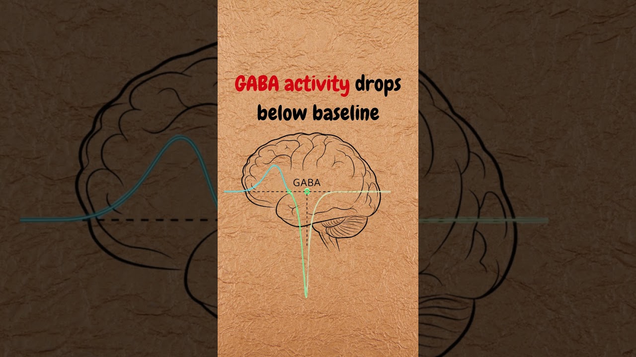 Why Benzodiazepines Create Rebound Anxiety