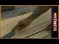 рџ рџ Mustafa S Sweet Dreams Witness рџ рџ Mustafa S Sweet Dreams Witness