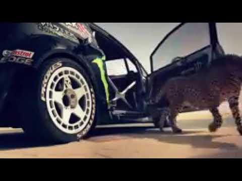 ya-lili-ya-lila-song-dubai