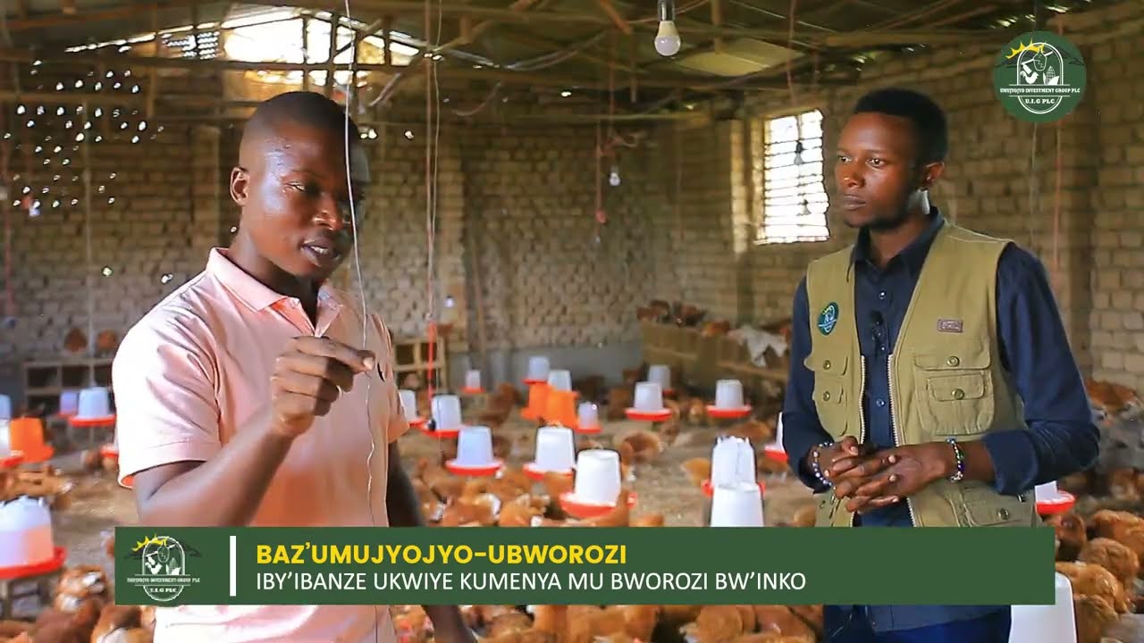 NGIBI IBYO UKWIYE KUMENYA MU BWOROZI BW'INKOKO//IKIRARO/INGANO Y'IBIRYO/ZITERA AMAGI MENSHI