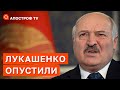 ЛУКАШЕНКО ОПУСТИЛИ: його поставили на рівень з терористами та холуями путіна / Апостроф тв