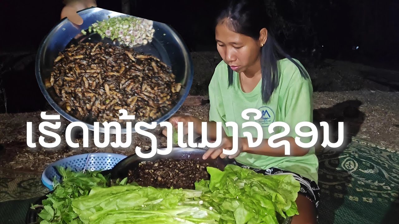 ເຮັດໝ້ຽງແມງຈິຊອນ