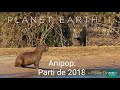 Anipop france parti de 2018 commercial