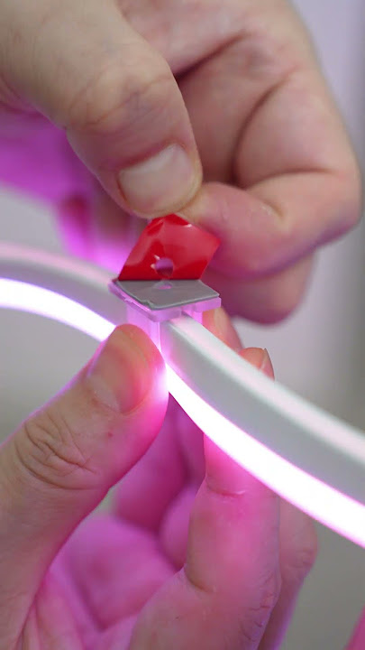 🌟 Unboxing the Lepro N1 Neon Light Strips