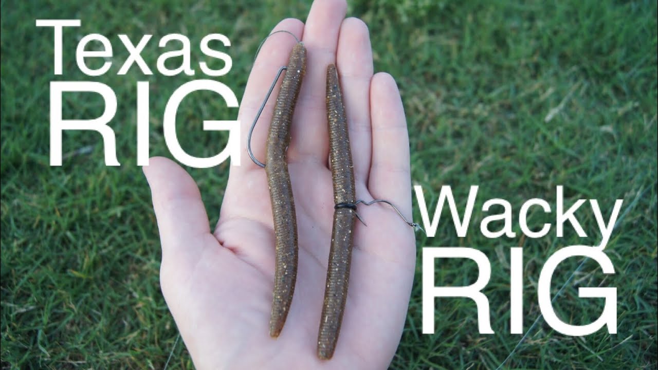 TEXAS RIG VS WACKY RIG SENKO FISHING CHALLENGE!! 