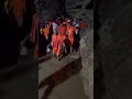 #viralvideo #viralshorts #bhaktishorts #bhaktivibes #shortsfeed #travel