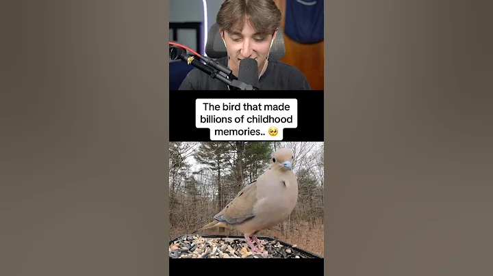 The Bird That Made So Many Childhood Memories! 😱 #shorts