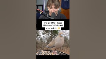 The Bird That Made So Many Childhood Memories! 😱 #shorts