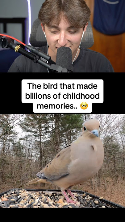 The Bird That Made So Many Childhood Memories! 😱 #shorts