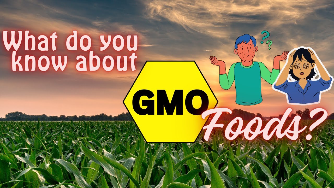 10 Facts You Need to Know About GMO Food 