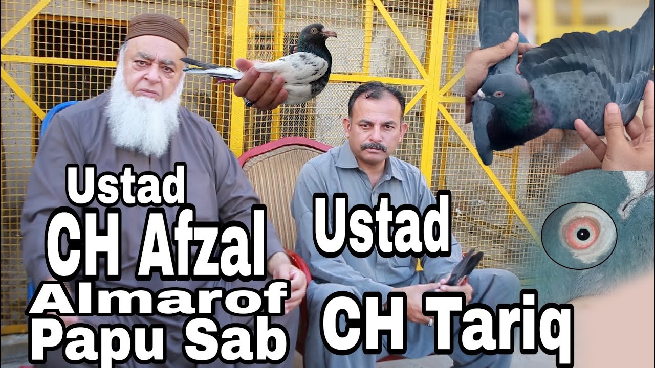 Most Senior Ustad CH Afzal almarof Papu Sab with CH Tariq Sab. - YouTube