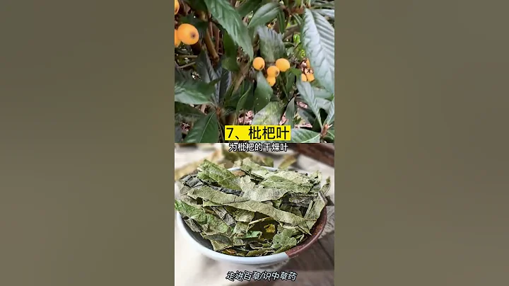 今日带你认识十五讲，农村常见的中草药 - 天天要闻