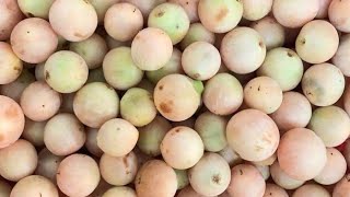 ماهي الفوائد الصحية الرائعة لفاكهة البمبرWhat are the wonderful health benefits of pamper fruit