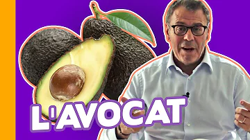 Est-ce que l'avocat est bon pour le régime ?