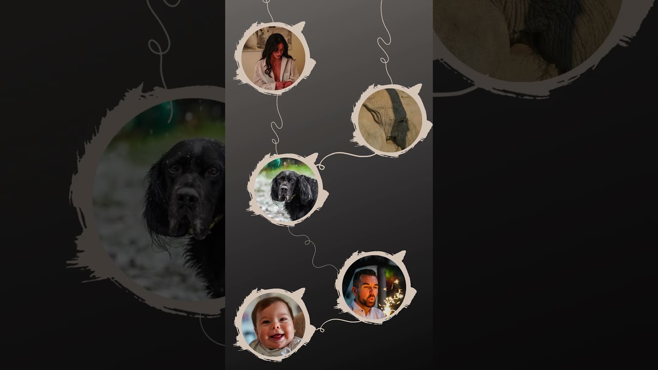 créer vos visuels Canva avec élégance et cohérence (réseaux, présentations, logos)