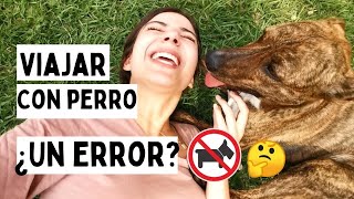 Thumbnail image for 👆Te CUENTO TODO acerca de VIAJAR CON PERRO🐶 ¿Qué necesitas? ¿Documentos? ¿Avión? Lo bueno y LO MALO