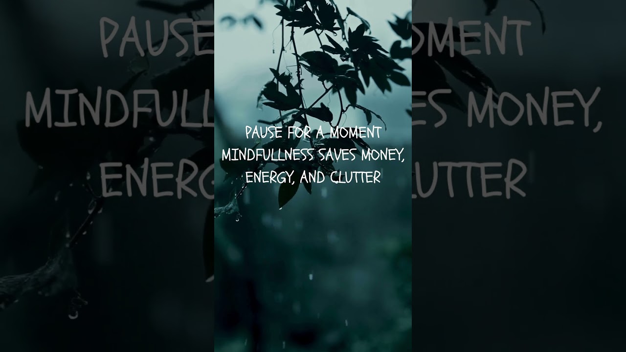 Black Friday Mindfulness Meditation | 20-Second Pause Before You Buy 