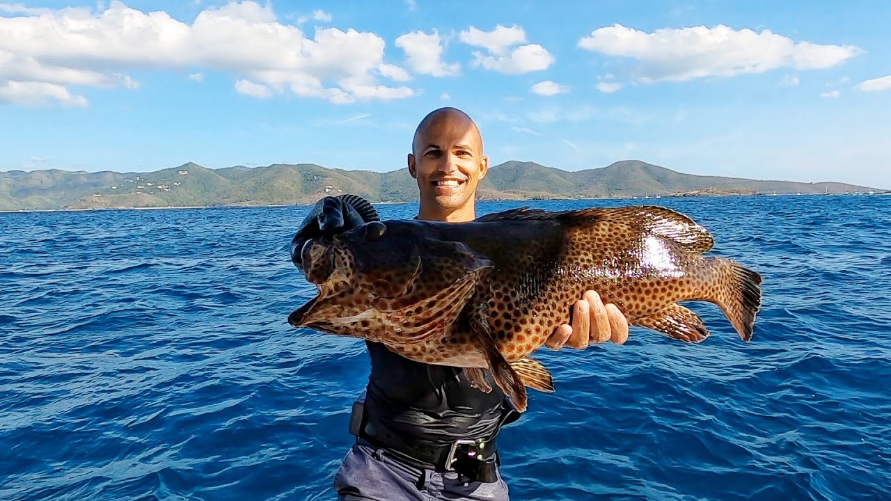 Diving for dinner | Catch and Cook | Beau and Brandy Sailing